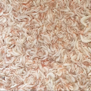 กุ้งแช่แข็งเกรดพรีเมียม ขายส่งจำนวนมาก เกรดอาหาร พร้อมจัดส่ง คุณภาพสูงสุด ผู้จัดจำหน่ายส่งออก - Product Image 3