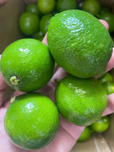 Citrons verts sans pépins du Vietnam : saveur fraîche, forte teneur en jus, taille uniforme, prix compétitif, approvisionnement mondial fiable, livraison en 45 jours - Product Image 4
