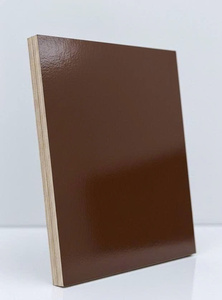 Panneaux de contreplaqué filmé en bois d'hévéa et eucalyptus, modernes, première qualité, poncés des deux côtés, haute qualité, fournisseur en gros - Product Image 5