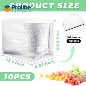 Bolsa Térmica para Entrega de Alimentos, Impermeable, Ecológica, Desechable, con Cierre de Cremallera, Material PE - Product Image 6