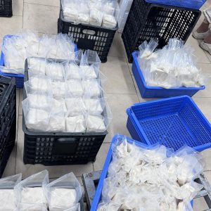 Goyavier congelé en gros : le meilleur choix pour les importateurs, prix compétitifs, emballage OEM - Product Image 5