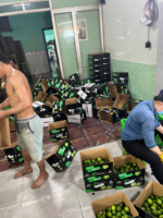 Récolte de citrons frais sans pépins du Vietnam Saveur naturellement sucrée et acidulée Qualité durable Emballé pour l'exportation dans le monde entier