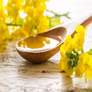 Aceite de Canola Refinado de Alta Pureza, Exportación a Granel, Proveedor Mayorista Directo de Fábrica para Importadores, Minoristas y Comerciantes Internacionales - Product Image 1