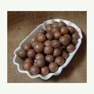 เม็ดมะคาเดเมียคุณภาพเยี่ยม 4 ลิตร ปลูกแบบธรรมชาติ - Product Image 4