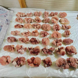 Lote de Stilbites Rojos Naturales y Hermosos, Colección de Cristales Premium para Exhibición, Decoración, Sanación y Regalo - Product Image 1