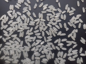 Meilleur prix Calrose à grains moyens riz japonais égyptien séché style cassé-pour les nouveaux acheteurs Contact + 84 944 500 504 - Product Image 3