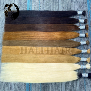 Hali Hair Bulk Cheveux humains vierges à cuticule alignée du Vietnam teints 100g Cheveux bruts Expédition rapide pour le marché africain et les États-Unis - Product Image 6