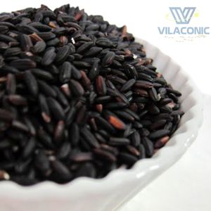 Riz noir glutineux à grains longs - Fournisseur direct du Vietnam |   Vilaconic Celeste Marque en gros - Product Image 2