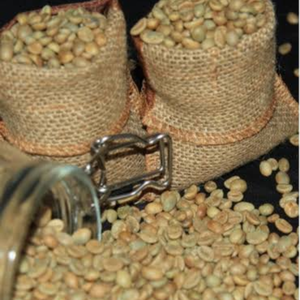Granos de Café Verde Crudos Sin Tostar a Granel en Saco de Arpillera, Almacenamiento Natural en Seco, Variedad Común - Product Image 6