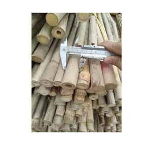 Bastão de bambu barato de 3 metros/material de estaca de bambu natural/suporte de planta de bambu com 3m de comprimento corte personalizado sandy99gdgmailcom