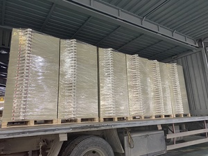 เจ้อเจียง longone 250 * แผ่นกรอง250ส่วนประกอบสำคัญสำหรับเครื่องกดตัวกรอง - Product Image 5