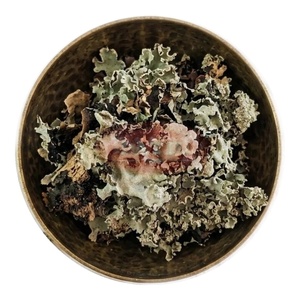 Parmelia Perlata, Flor de Piedra, Chadila, Patthar Phool, Charila, Dagad Phool, Hierbas Secas Crudas, Extracto de Plantas al por Mayor - Product Image 1