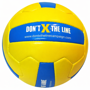 Ballon de volley-ball d'entraînement professionnel, taille 5, en PVC, durable, écologique, conception OEM d'usine, marque client - Product Image 2