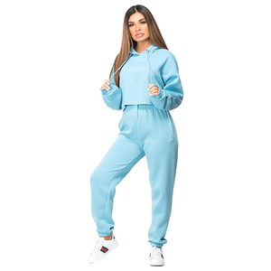 Crop top de sport pour femmes de haute qualité, bleu ciel, pour l'entraînement physique, manches longues, vêtements de sport pour femmes, fabriqué au Pakistan - Product Image 1