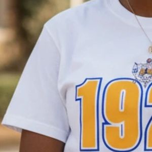 T-shirt unisexe Sigma Gamma Rho Heavyweight en coton à col rond et manches courtes, vêtement de sororité grecque, streetwear décontracté - Product Image 6