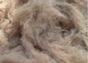 Bán Chạy nhất giá nhà máy trực tiếp tùy chỉnh cung cấp giá rẻ nhất của đay cắt trong các kích cỡ khác nhau nguyên liệu đay caddies từ Bangladesh. - Product Image 3