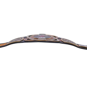 Cinturón de Campeonato de Lucha Libre Más Vendido, Placas Metálicas Premium de Bajo Precio, Diseño Personalizado de la Mejor Calidad, Edición 2026 - Product Image 3