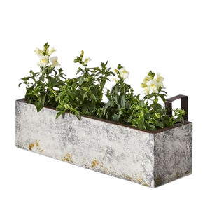 Bac et seau en métal galvanisé pour plantes vertes et décoration - Product Image 1