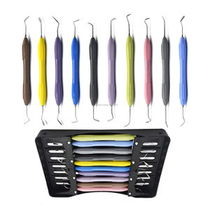 Lot de 10 instruments dentaires manuels réutilisables en silicone pour composites, avec cassette de rangement, certifiés CE ISO, fournisseur en gros OEM ODM - Product Image 5