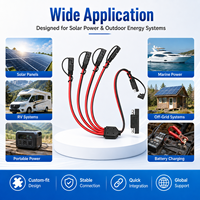 Câble d'alimentation OEM multi-branche avec faisceau de câblage pour feux de voiture et accessoires de caméra embarquée