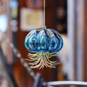 Pot suspendu <span class=keywords><strong>en</strong></span> <span class=keywords><strong>verre</strong></span> soufflé à la main, terrarium, support <span class=keywords><strong>pour</strong></span> plantes aériennes, <span class=keywords><strong>vase</strong></span> décoratif <span class=keywords><strong>en</strong></span> <span class=keywords><strong>verre</strong></span> suspendu <span class=keywords><strong>pour</strong></span> l'intérieur et l'extérieur - Product Image 2