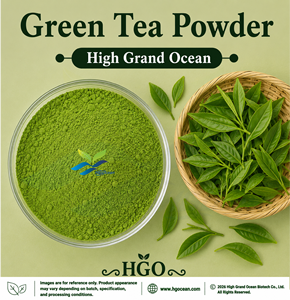 Poudre de thé vert naturel (qualité alimentaire) HGO, approvisionnement direct usine, séchée par atomisation ou lyophilisée - Product Image 1