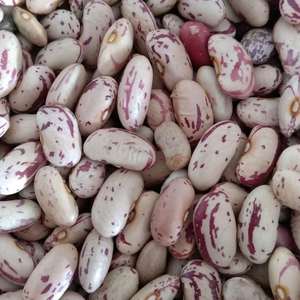 Haricots rouges clairsemés à grain distinct, procédés de transformation propres et ingrédient alimentaire exceptionnel - Product Image 1