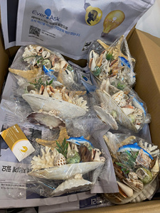 Colorful Natural Handmade Seashell Decoration Set <b>Abalone</b> Conch <b>Shell</b> Hanging Boat Aquarium Christmas - Caryln - Product Image 3