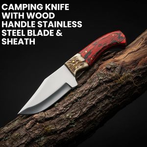Couteau de chasse Full Tang Redtail Skinner de 9 pouces avec manche en bois, lame en acier inoxydable et étui, couteau de poche pour la chasse - Product Image 3
