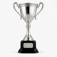 Trofeo Clásico en Forma de Estrella de León, Chapado en Oro, Aleación de Zinc, Grabado Personalizado, Colores Personalizados Antiguos y Modernos, Medallas de Metal JIN JUMBO
