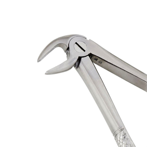 Forceps d'extraction dentaire pour racines inférieures Fig. 33A en acier inoxydable – Instrument chirurgical dentaire - Product Image 3