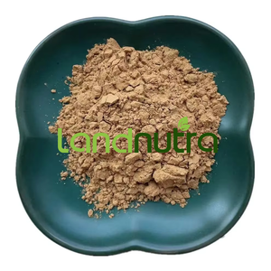100% planta pura extracto de hoja de <span class=keywords><strong>Aloe</strong></span> materias primas <span class=keywords><strong>Aloe</strong></span> <span class=keywords><strong>Vera</strong></span> Barbadensis Miller polvo EXTRACTO DE <span class=keywords><strong>Aloe</strong></span> <span class=keywords><strong>Vera</strong></span> - Product Image 3