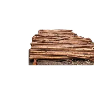 Rucca madeira de ébano de alta qualidade, embalagem de madeira de ébano de madeira resistente à pestes em massa do preço de madeira de ébano preto para venda