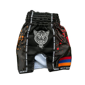 Shorts de boxe Muay Thai personnalisés en polyester, séchage rapide, taille élastique, légers, pour hommes - Product Image 5