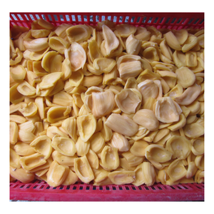 Ingredientes de Jaca Congelada de Grado Exportación, Producidos a partir de Jaca Fresca de Primera Calidad, Aptos para Helados, Yogur, Repostería y Smoothies - Product Image 6