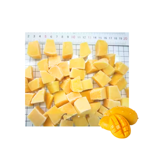 Mangue surgelée IQF, ingrédient tropical certifié Clean Label pour la production d'aliments végétaux - Product Image 5