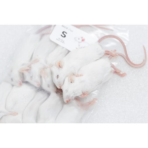 Souris congelées JUMP 7-8g Premium Hopper Mice, nourriture pour serpents, nourriture pour rongeurs, vente en gros, sans salmonelle, bio-améliorées - Product Image 5
