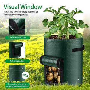 Bolsas verdes para cultivo al aire libre para maceta de patatas y verduras para el cuidado de cultivos vegetales - Product Image 5