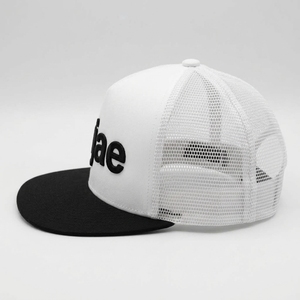 Gorra Trucker de Malla de 5 Paneles Personalizada con Logotipo Bordado en 3D, OEM ODM, Bajo MOQ, Proveedor Mayorista de Gorras de Marca Privada - Product Image 2