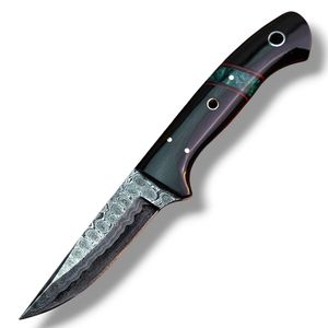 Couteaux d'extérieur professionnels avec lame fixe à motif Damas, manche décoratif en bois, rivets en laiton et tranchant affûté pour le camping - Product Image 3