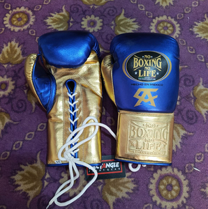 ถุงมือ MMA หนังแท้ Custom No Boxing No Life สำหรับฝึกซ้อมและต่อสู้ กันลื่น ระบายอากาศ ป้องกันรังสียูวี แบบเต็มนิ้ว ผูกเชือก - Product Image 6