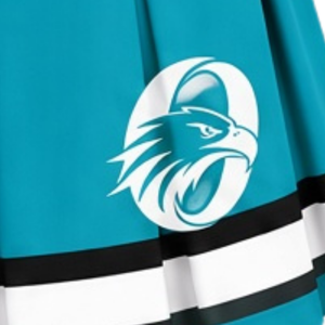 Turquoise Sublimated Cheer Panel <b>Skirt</b> Pleated Team Sports Uniform Bottoms Athletic Performance Training Wear Competition - Product Image 6