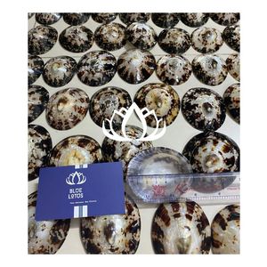 MUY SOLICITADO 2026 Cubierta de Concha de Limpet para Copa de Lactancia, Cubierta de Concha Lisa para Protección del Pezón y Ahorro de Leche - Product Image 1