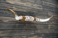 Tanduk Sapi Kecil Dipoles, Tanduk Sapi Longhorn, Sepasang, Berkualitas Tinggi, Desain Khusus, Modern, Ramah Lingkungan, Bentuk Tidak Beraturan