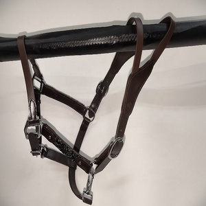 EQESTRIAN English Saddle <b>Style</b> <b>Head</b> Collar Halter Softy Padded in Black & Brown with Brass or Chrome Plated Leather Fittings - Product Image 1