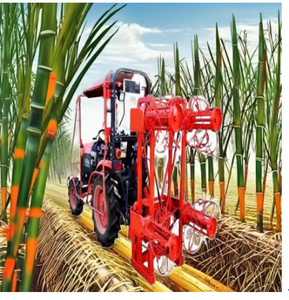 Décortiqueuse de feuilles numérique Sabin 195 kg, boîte de vitesses moteur 14-30 CV, capacité 6-12 acres, pour canne à sucre - Product Image 1