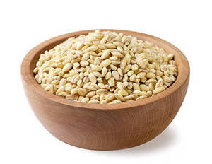 Natural Premium Organic Indian Pearl Barley <b>Grain</b> Dried White for Commercial Food Processing Global Export 24 Months Shelf Life - Product Image 4