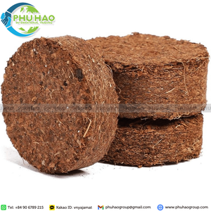 Produit phare : granulés de coco de haute qualité, taille 3,5 à 4,2 cm, pour une croissance saine des racines et une germination professionnelle des semis. - Product Image 6