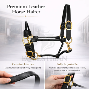 Rolled Leather Horse Halter Premium Adjustable Brass <b>Hardware</b> Show Halter - Product Image 4