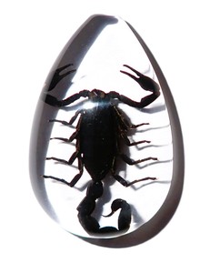 Black Scorpion Real Specimen Plastic Cabochon Pear Cut <b>Top</b> 46x30 mm Clear Flat Bottom for Crafts and Jewelry Making - Product Image 3